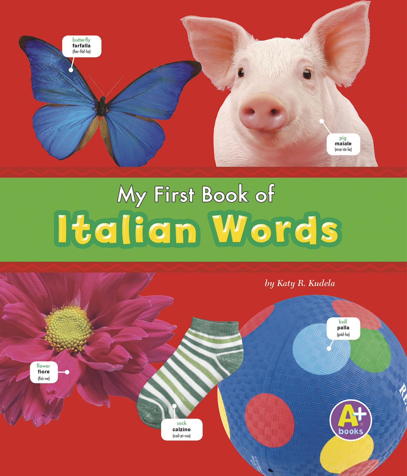 My First Book of Italian Words (A+ Books: Bilingual Picture Dictionaries) (English and Italian Edition),Used