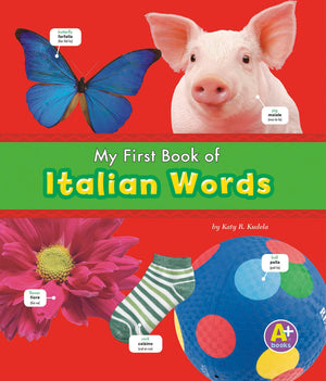 My First Book of Italian Words (A+ Books: Bilingual Picture Dictionaries) (English and Italian Edition),Used