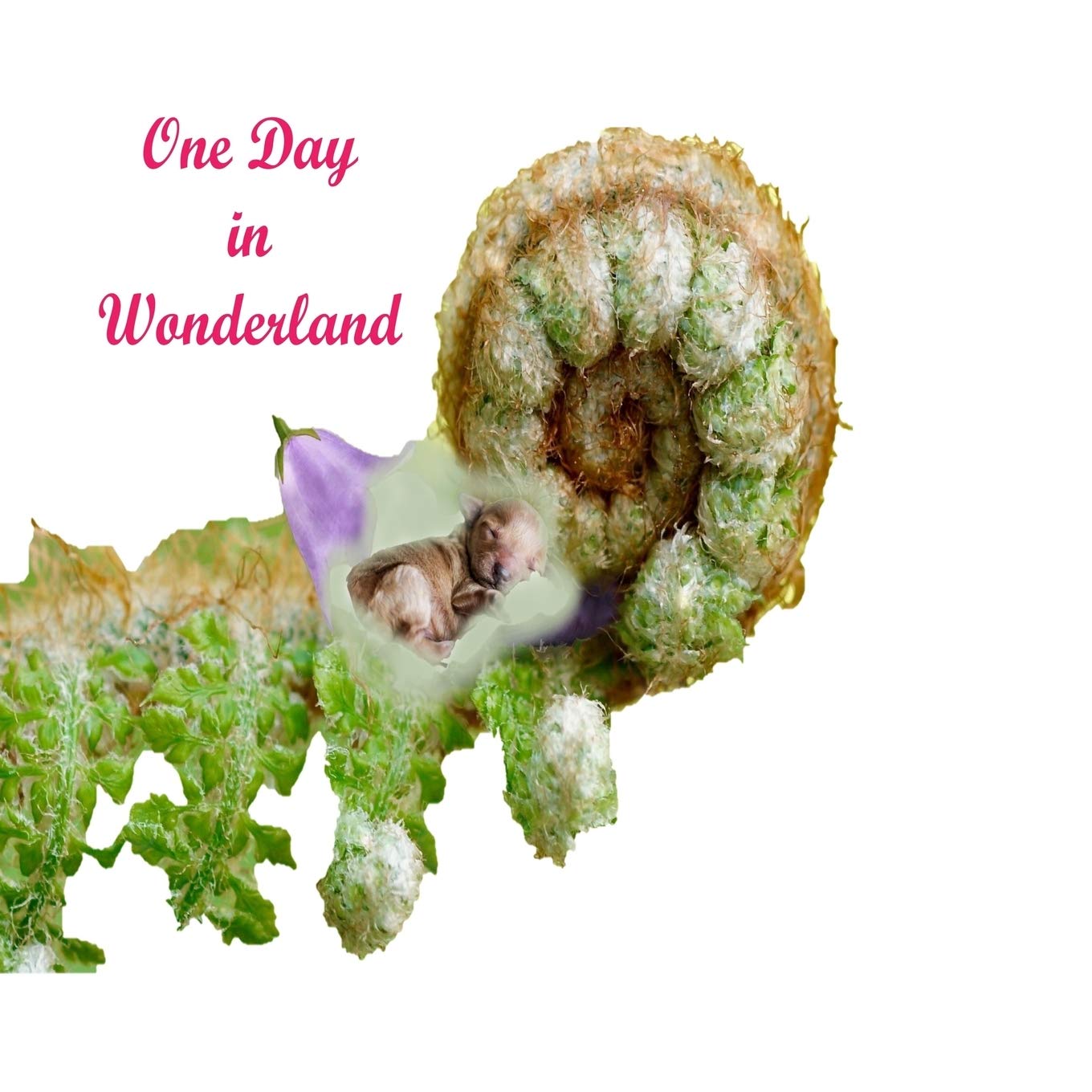 One Day In Wonderland: Magic of advanture in wonderland.Colorful Nature.,Used
