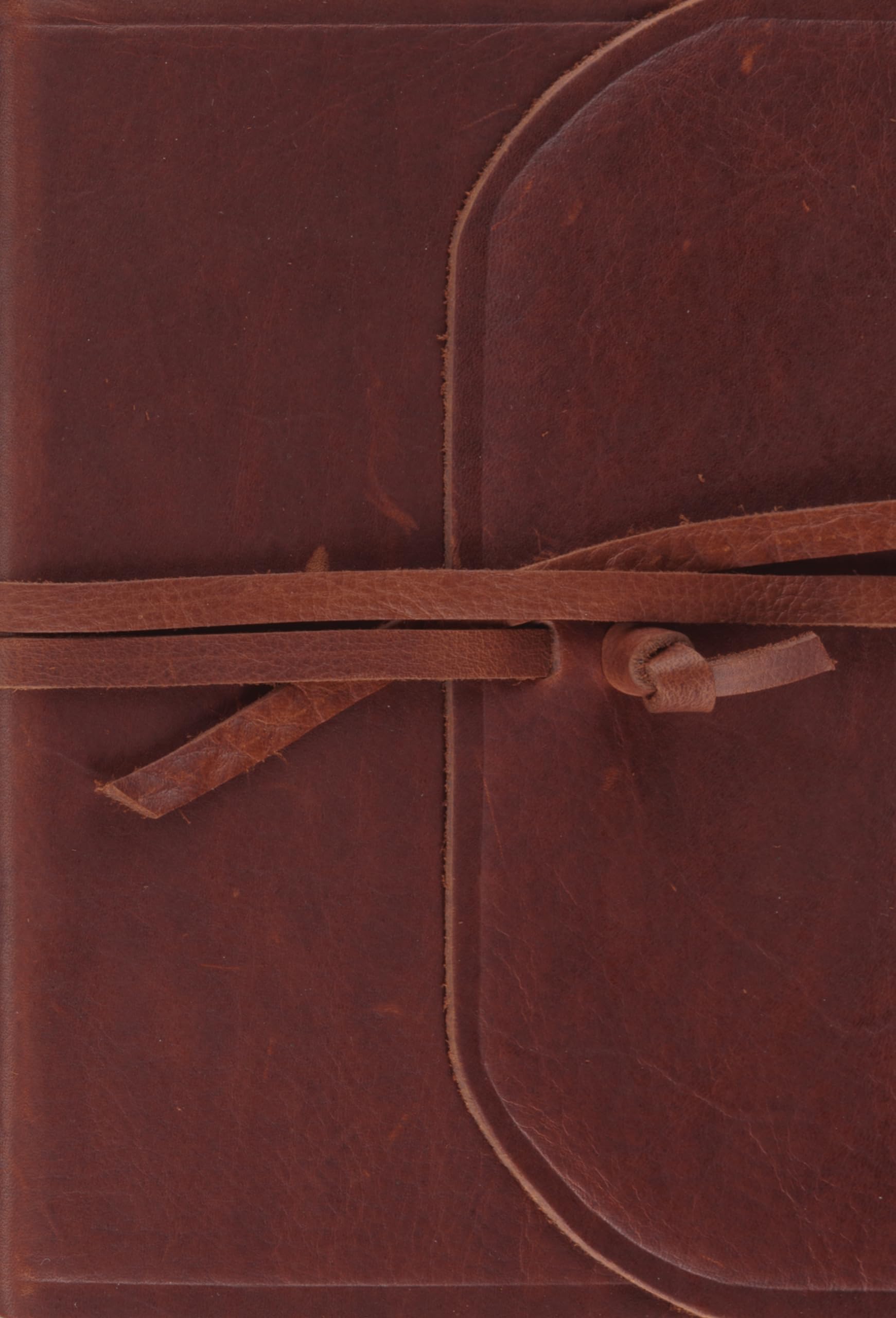 ESV Large Print Compact Bible (Brown, Flap with Strap),Used