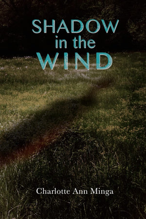 Shadow in the Wind (The Stafford County Series),Used