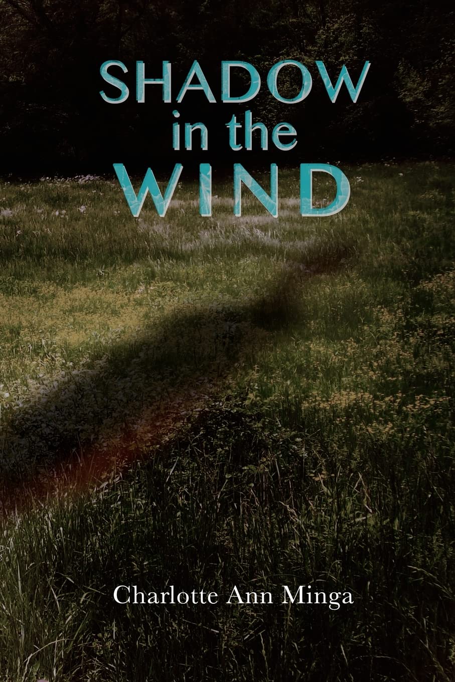 Shadow in the Wind (The Stafford County Series),Used