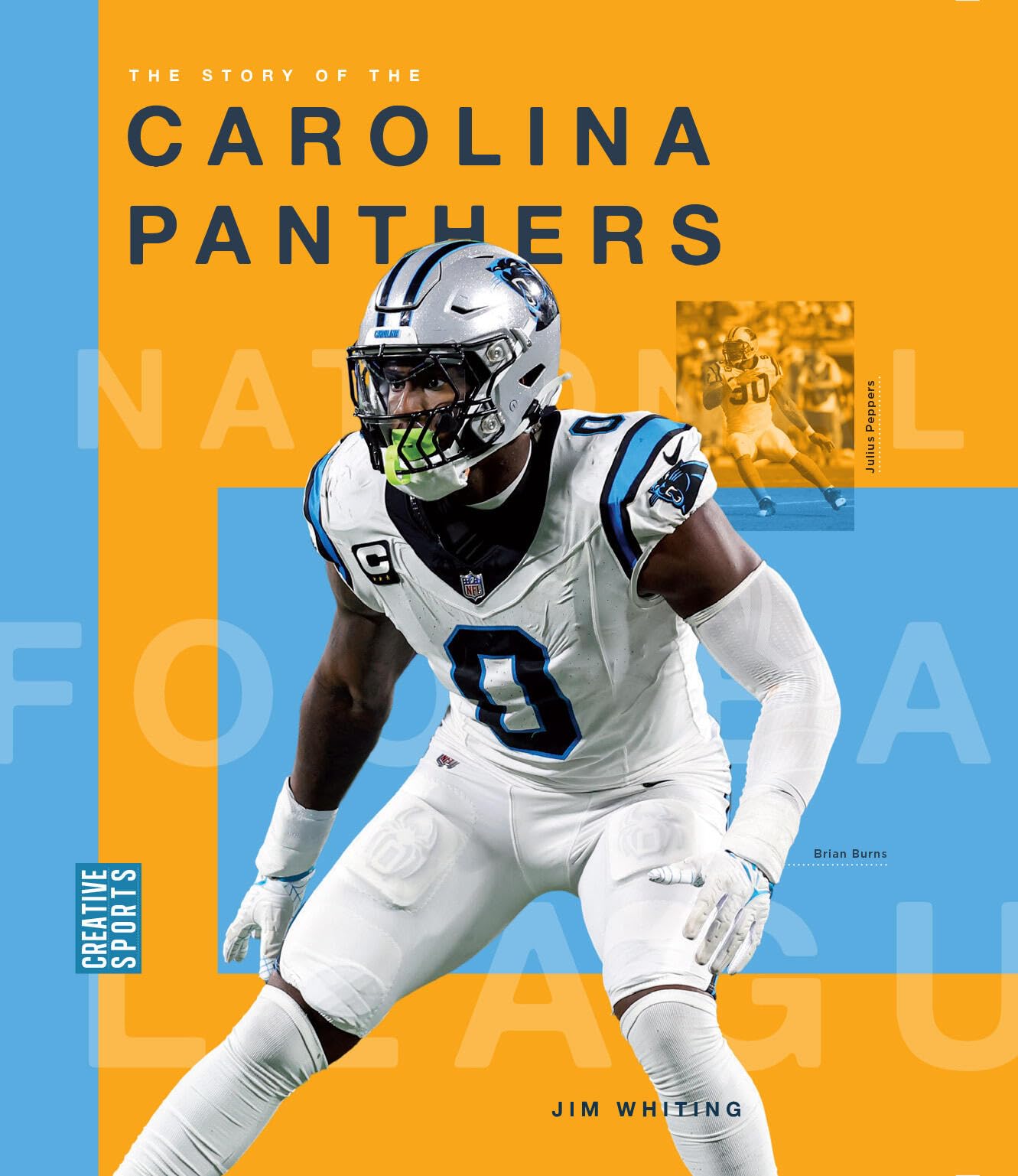 The Story Of The Carolina Panthers
