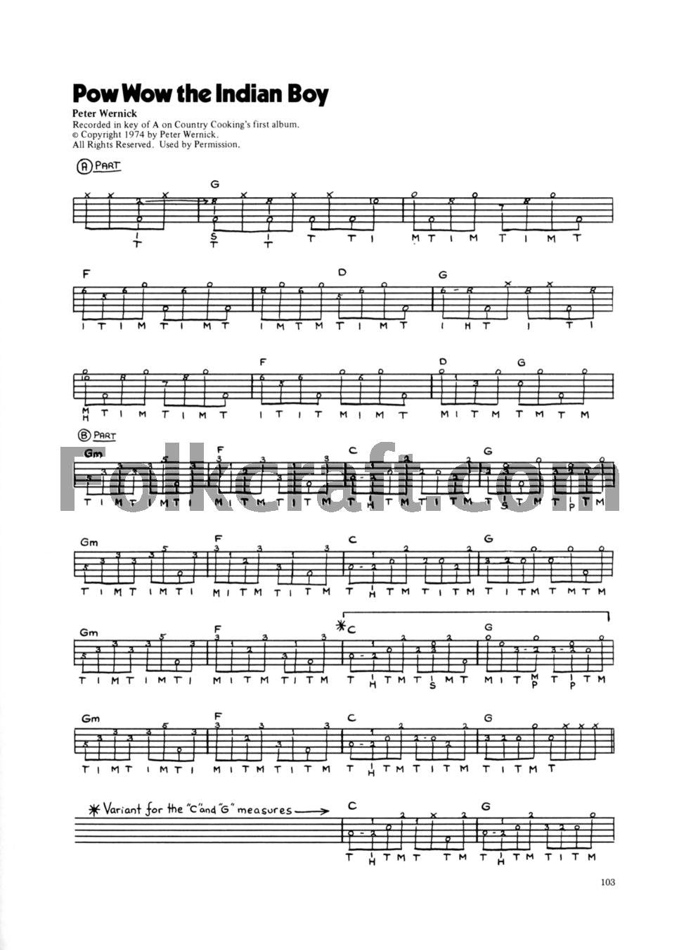 Oak Publications Bluegrass Banjo - Premium Acoustic Instrument for Musicians