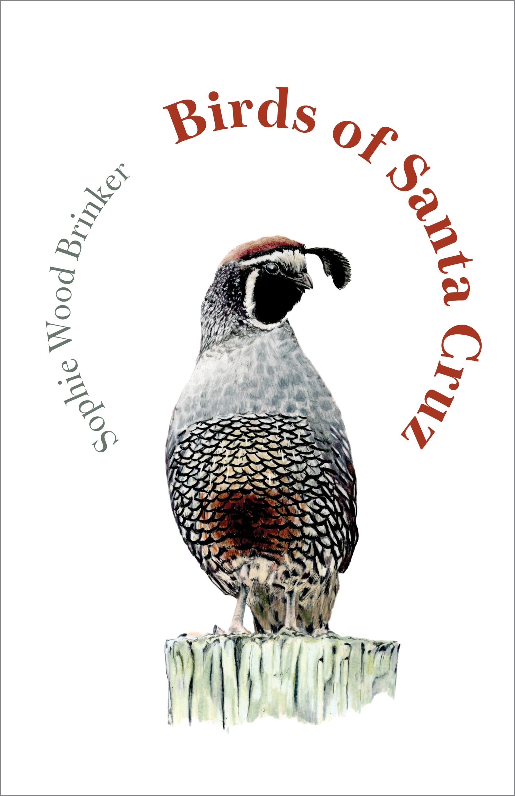 Birds Of Santa Cruz (The Birds Of California)