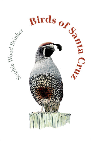 Birds Of Santa Cruz (The Birds Of California)