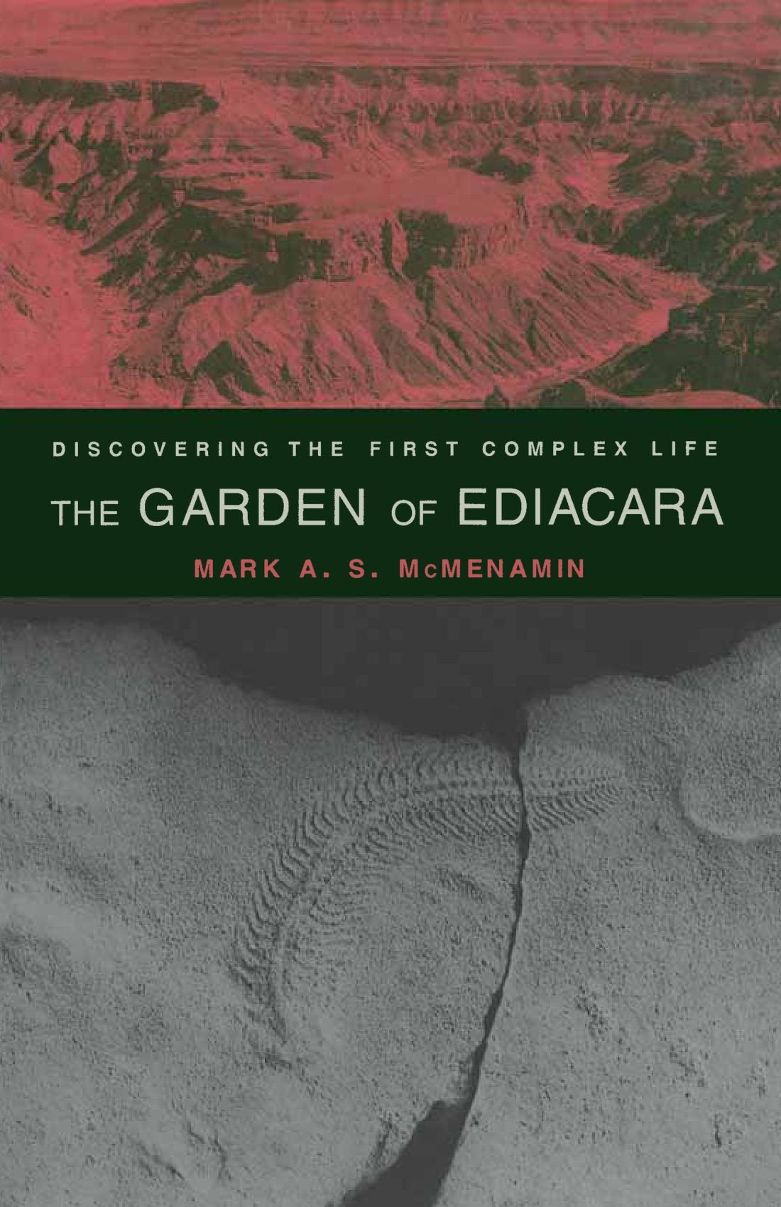 The Garden Of Ediacara