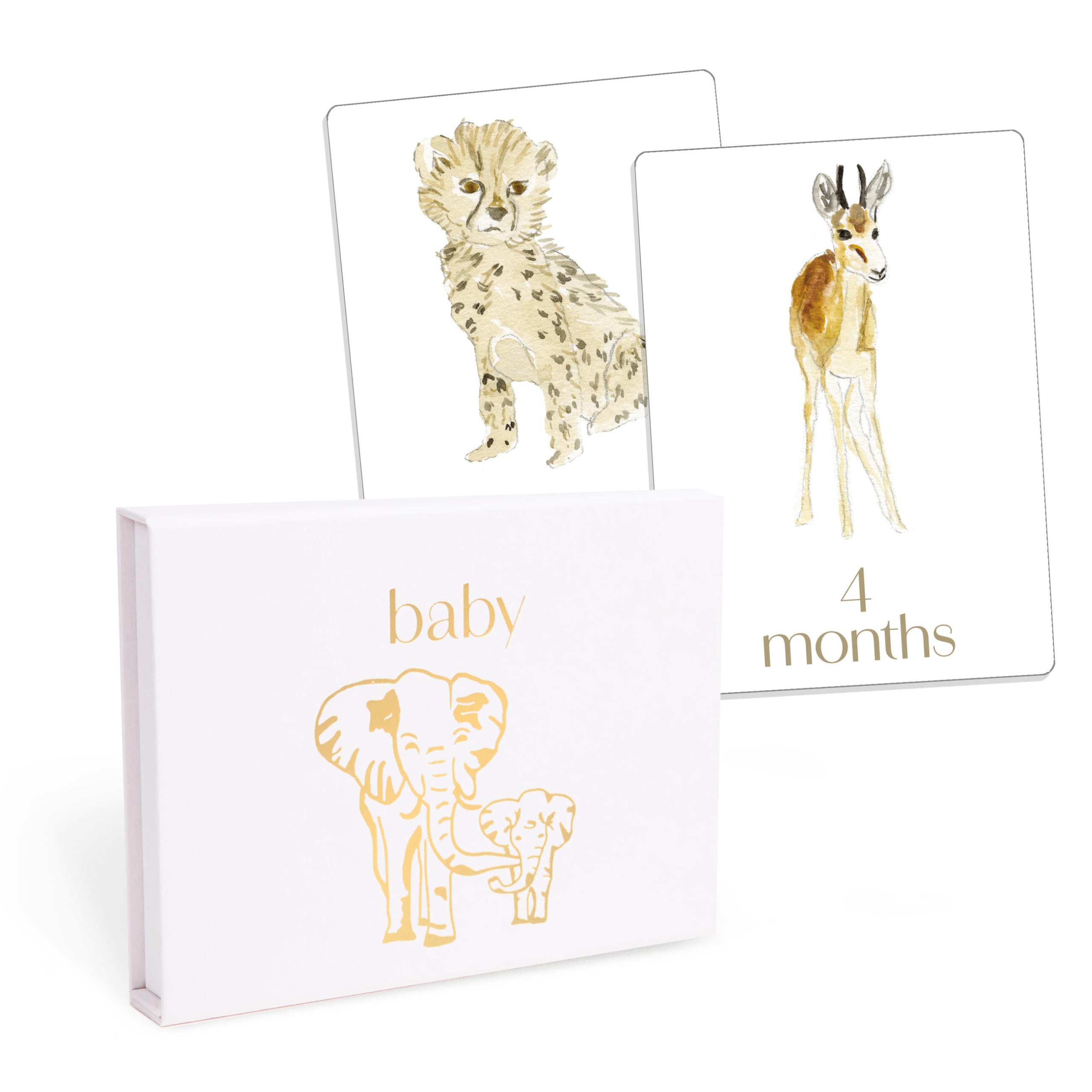 Baby: First Year Milestone Cards: 12 Monthly Cards For Photos And Display