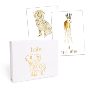 Baby: First Year Milestone Cards: 12 Monthly Cards For Photos And Display