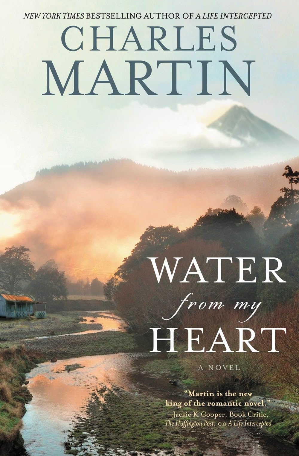 Water from My Heart: A Novel,Used