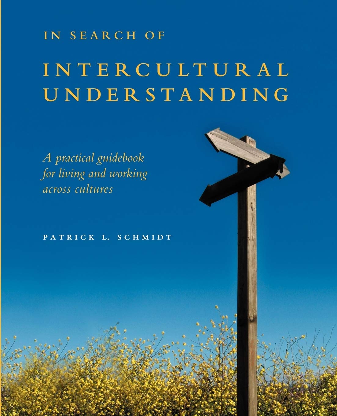 In Search of Intercultural Understanding,Used
