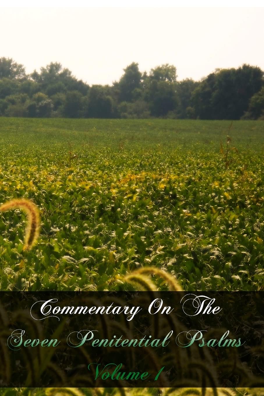 Commentary On The Seven Penitential Psalms,Used