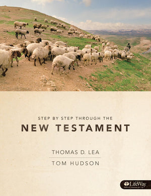 Step by Step Through the New Testament  Member Guide,Used