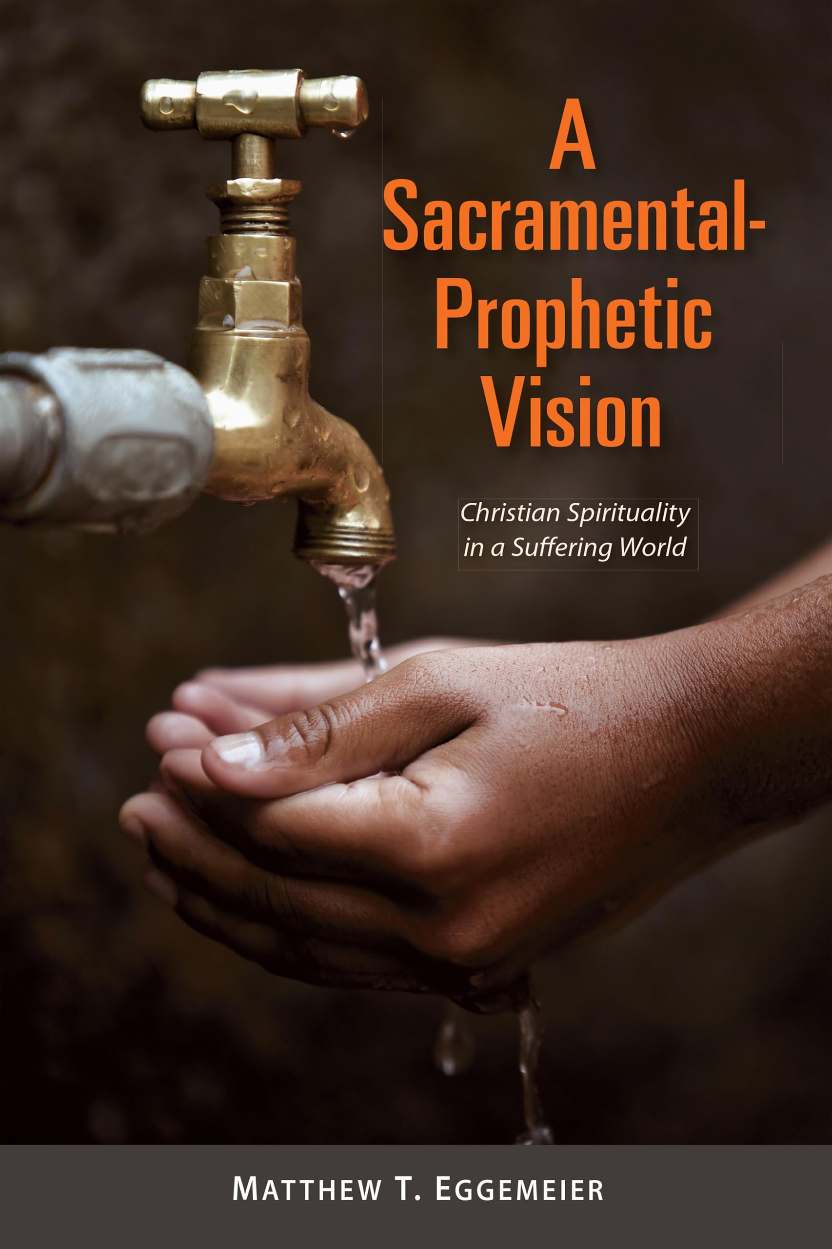A Sacramentalprophetic Vision: Christian Spirituality In A Suffering World,Used