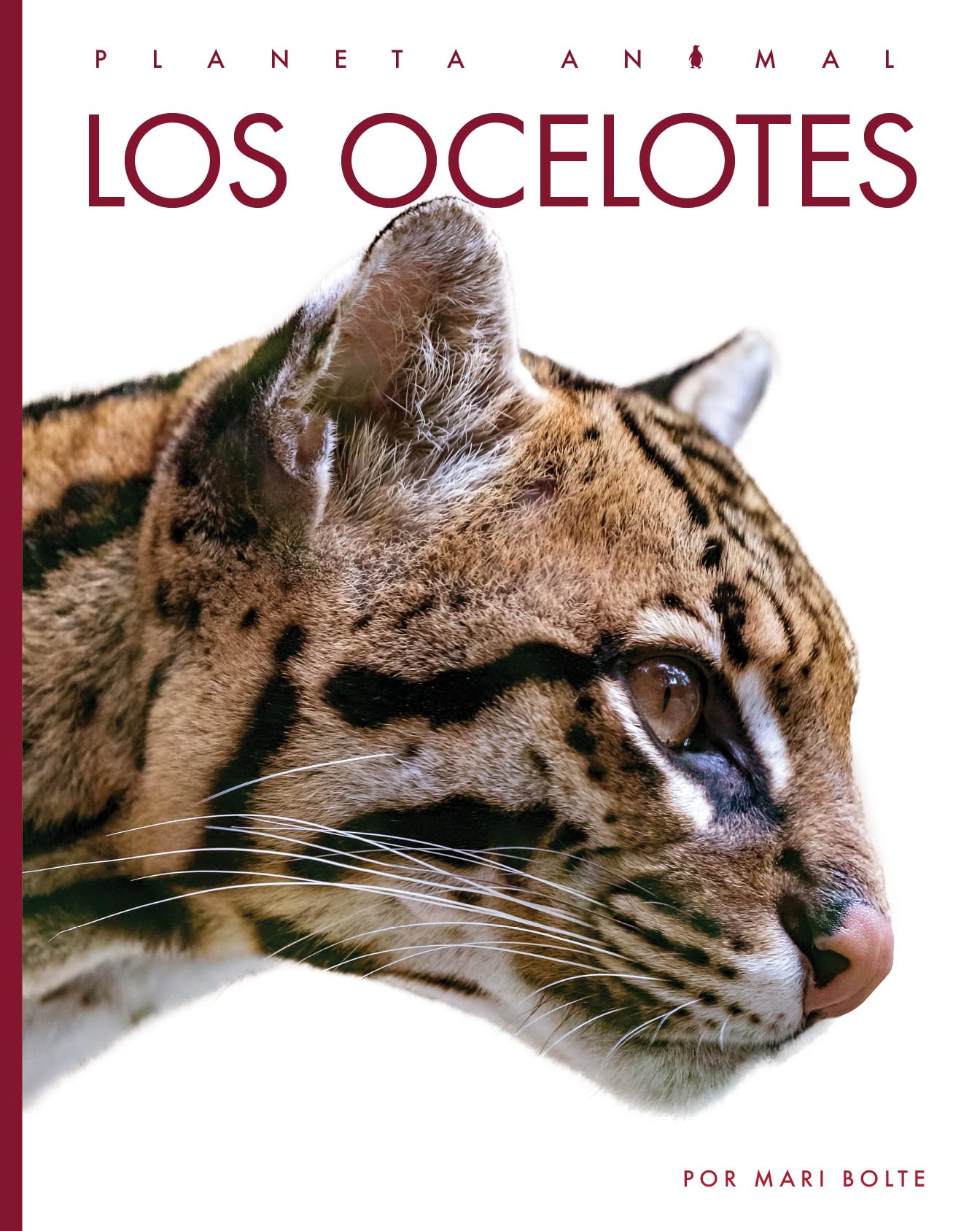 LOS OCELOTES
