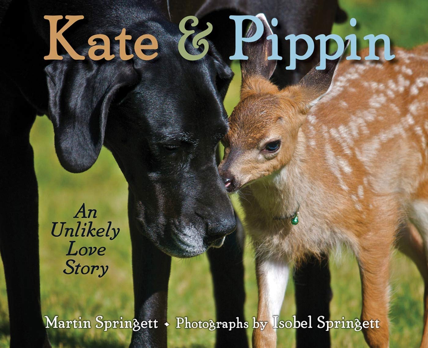Kate & Pippin: An Unlikely Love Story (My Readers),Used
