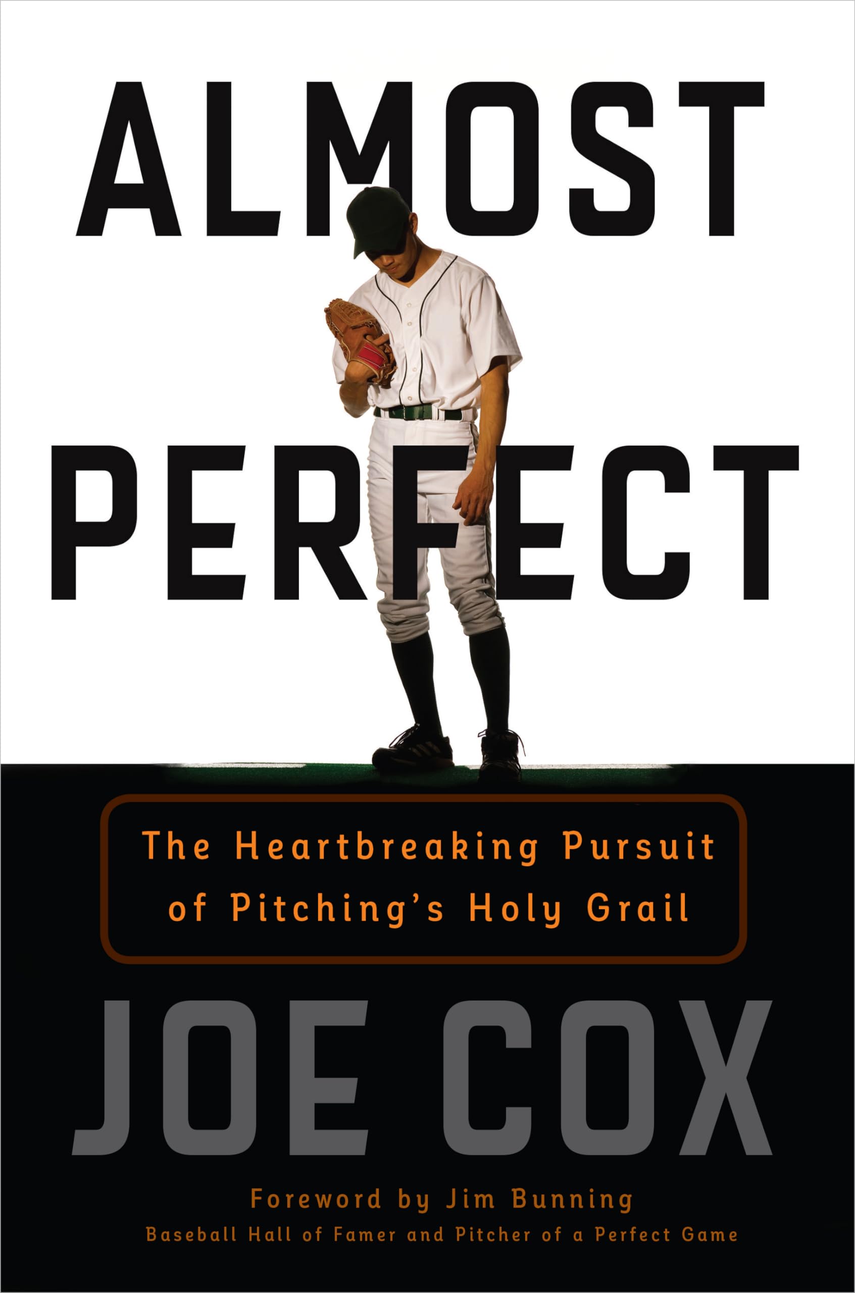Almost Perfect: The Heartbreaking Pursuit of Pitching's Holy Grail,New