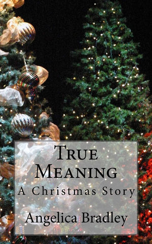 True Meaning: A Christmas Story (True Life Series),Used
