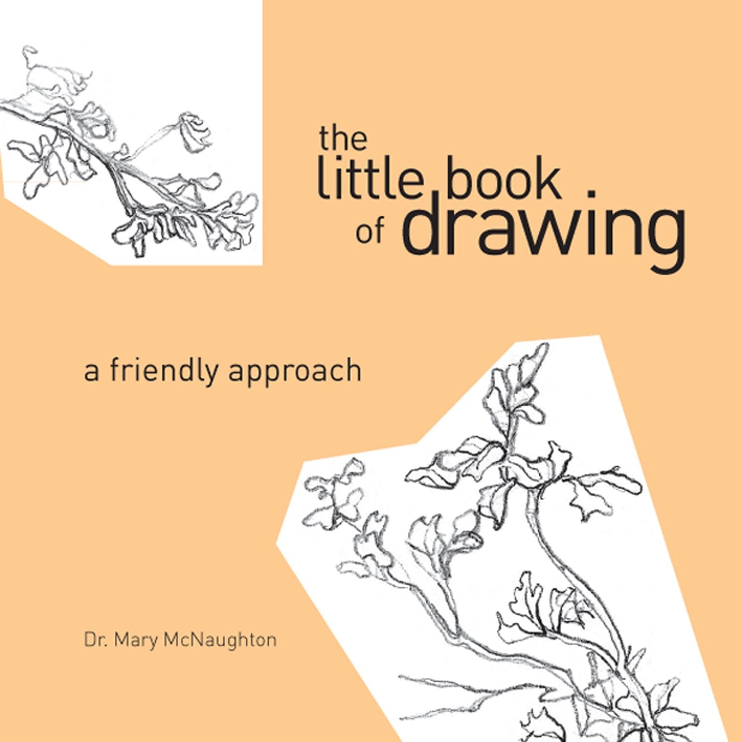 The Little Book of Drawing: A Friendly Approach,Used