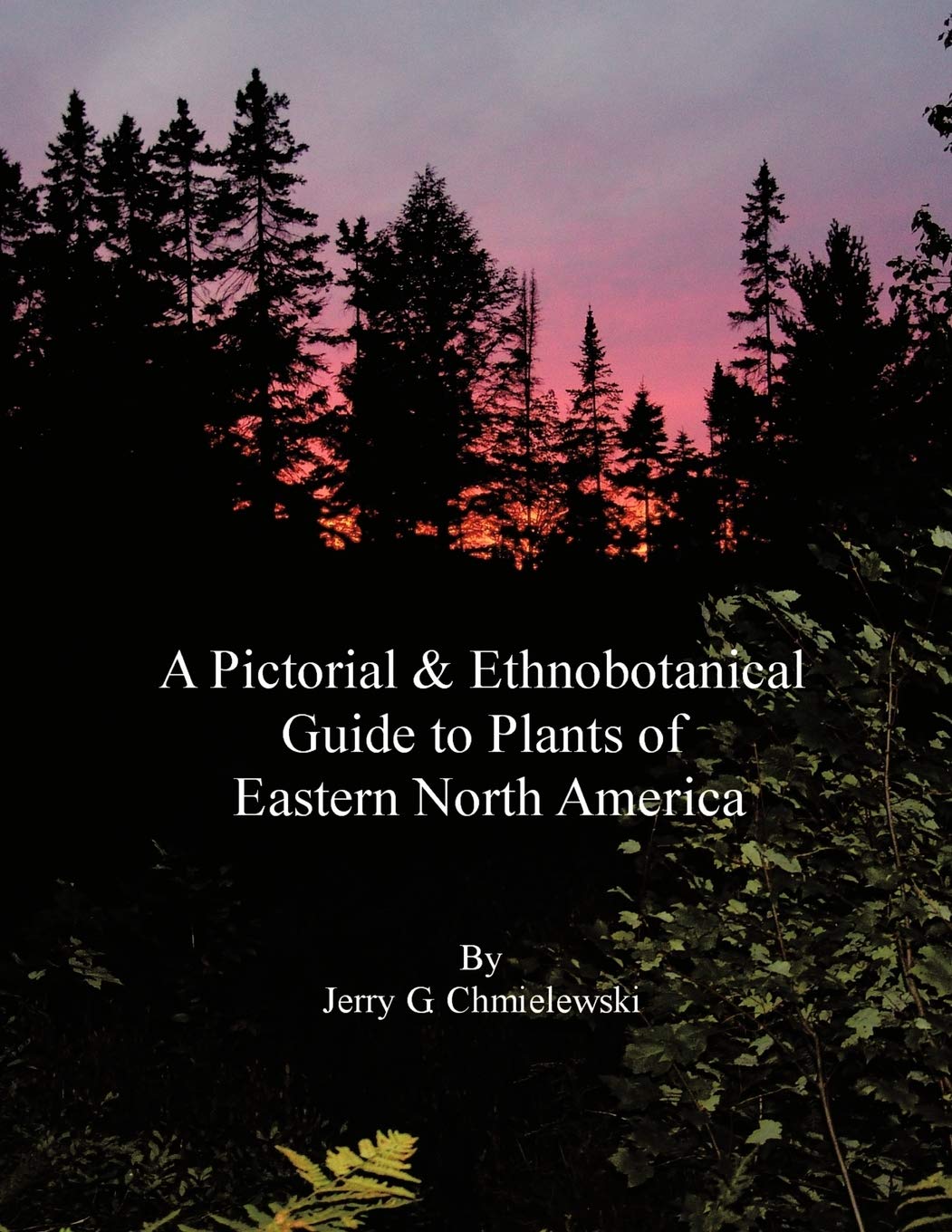 A Pictorial and Ethnobotanical Guide to Plants of Eastern North America,Used