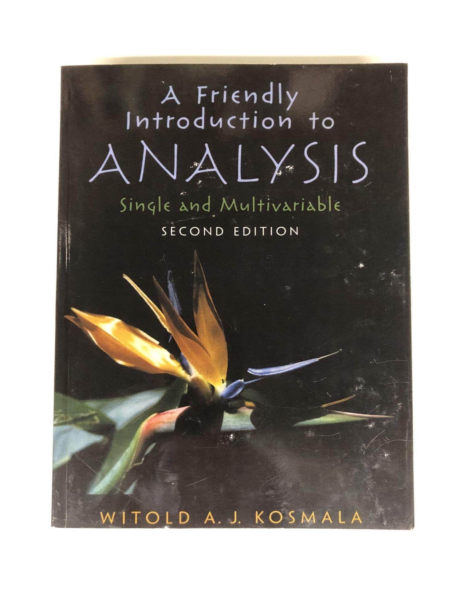 A Friendly Introduction to Analysis,Used