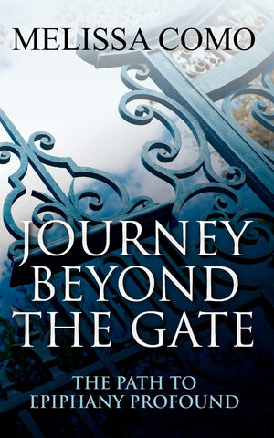 Journey Beyond the Gate: The Path to Epiphany Profound,Used