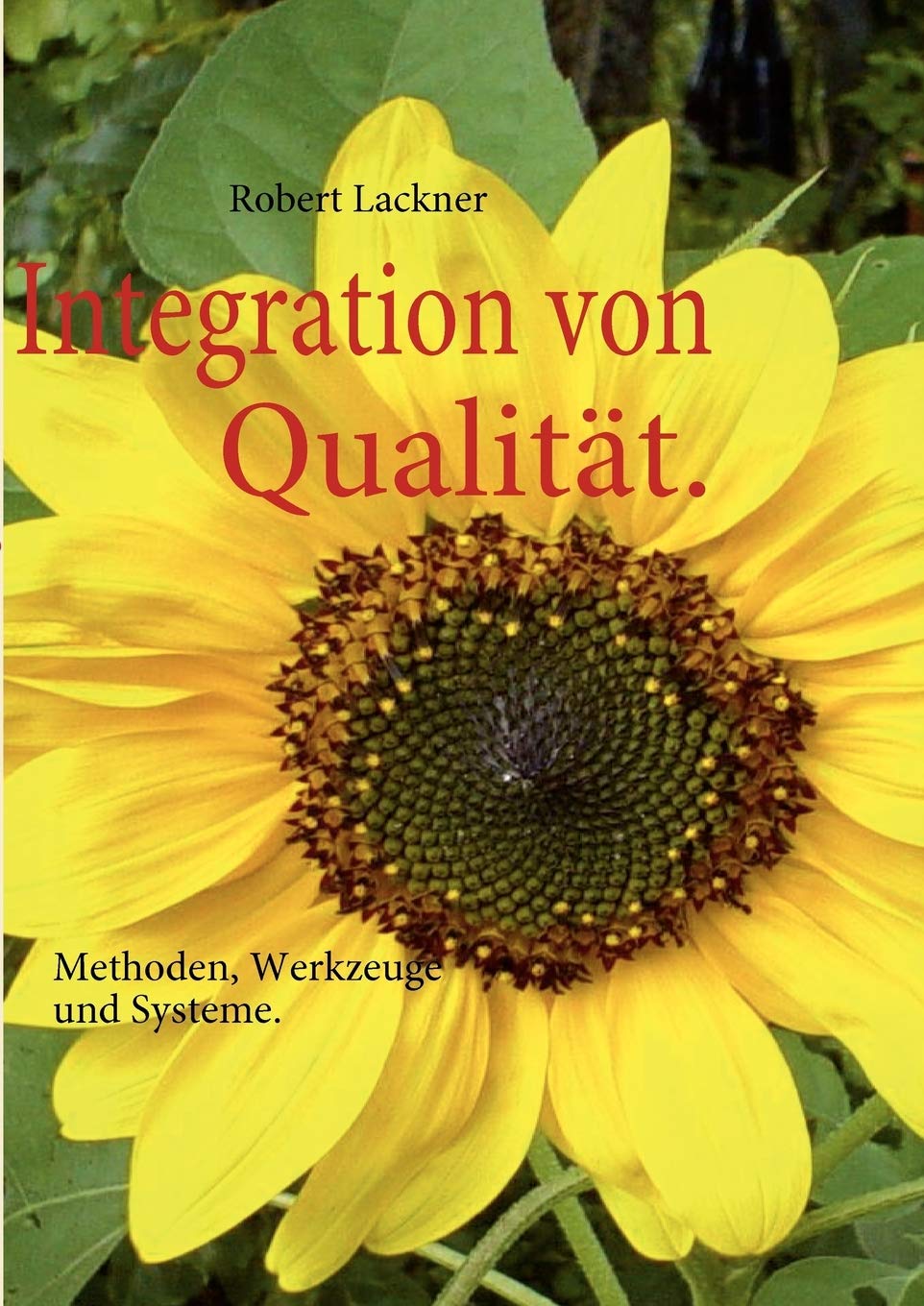 Integration von Qualitt.: Methoden, Werkzeuge und Systeme. (German Edition),Used