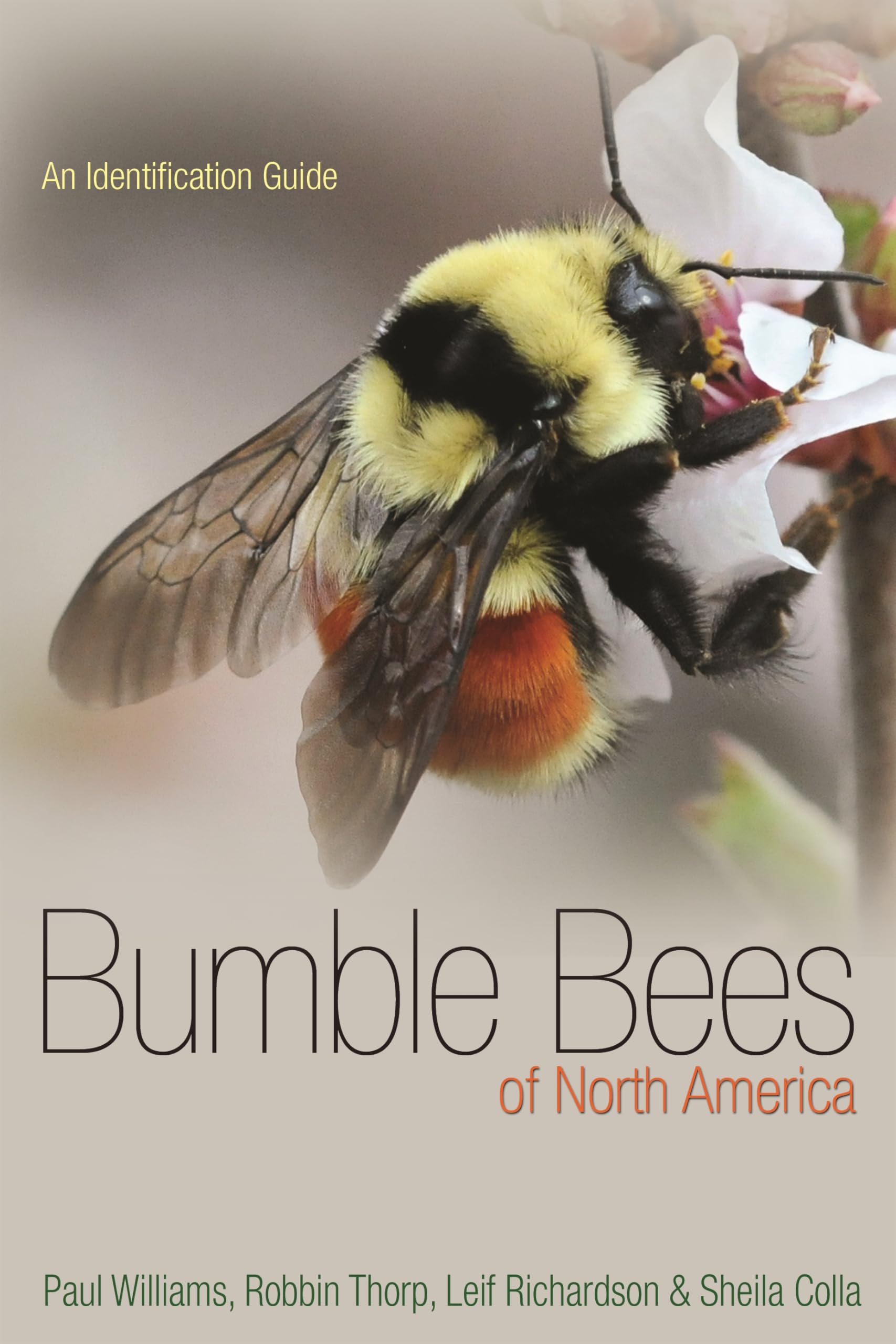 Bumble Bees Of North America: An Identification Guide (Princeton Field Guides, 89),New