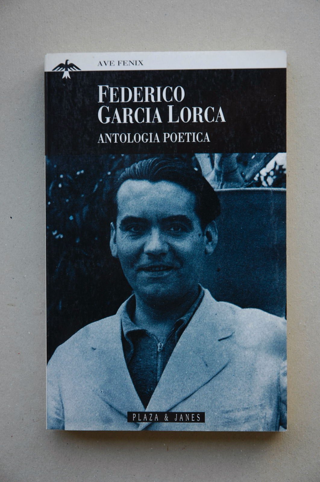 Antologia Poetica  Garcia Lorca (Spanish Edition),Used