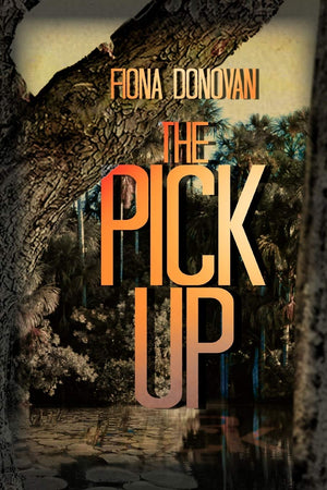 The Pick Up,Used
