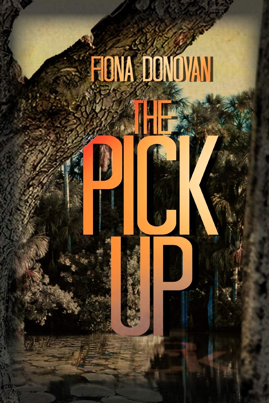 The Pick Up,Used