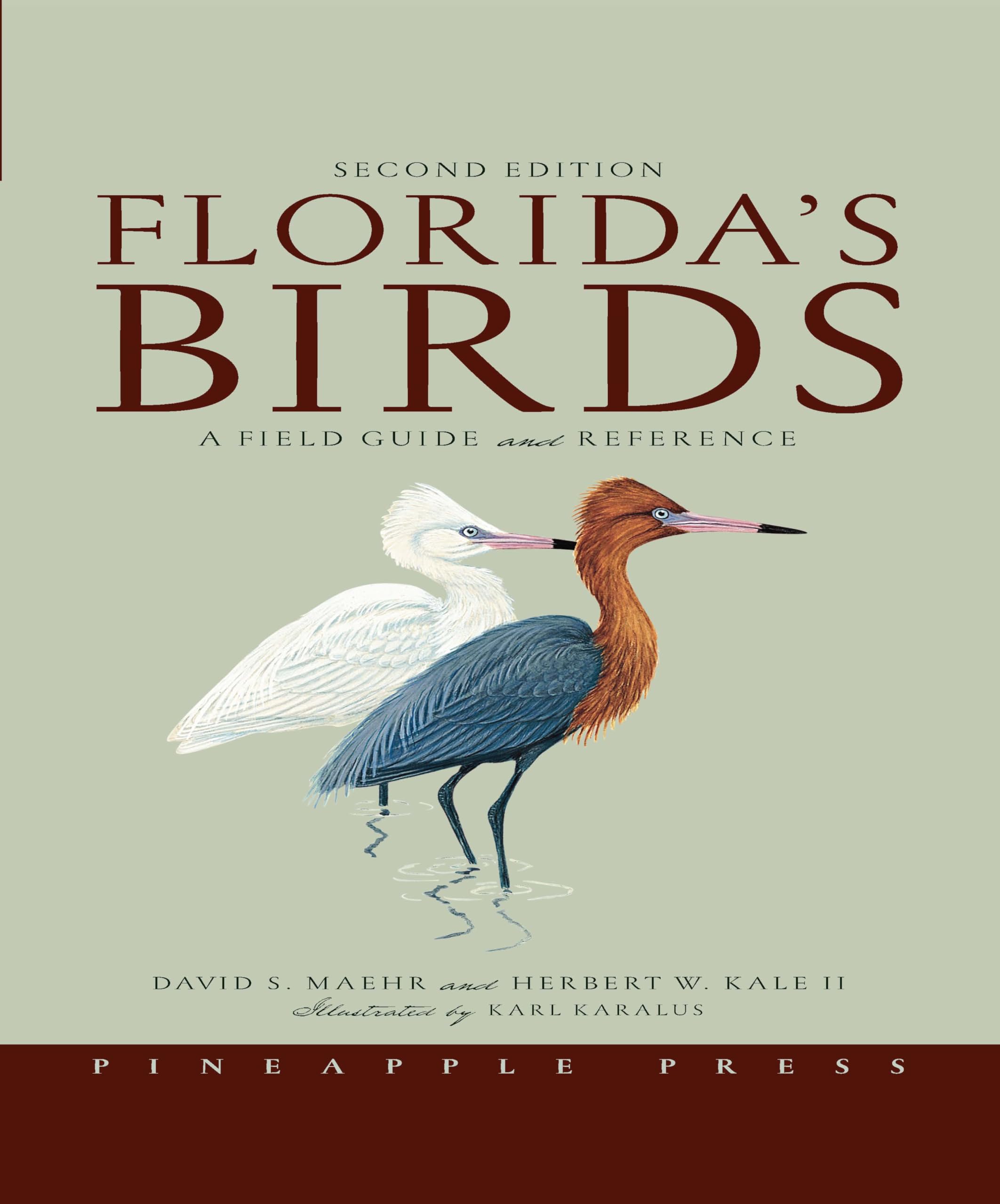 Florida's Birds: A Field Guide and Reference,Used