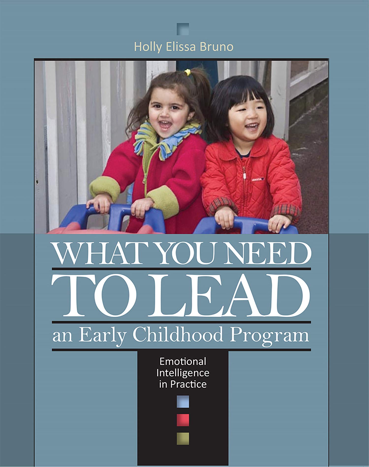 What You Need to Lead: An Early Childhood Program Emotional Intelligence in Practice,Used