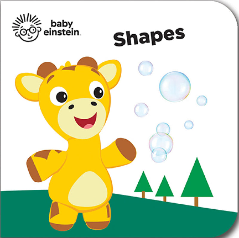 Baby Einstein  My First Library Board Book Block 12Book Set  First Words, Alphabet, Numbers, and More!  PI Kids