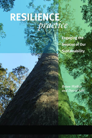 Resilience Practice: Building Capacity To Absorb Disturbance And Maintain Function,Used