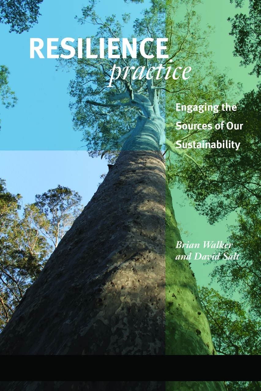 Resilience Practice: Building Capacity To Absorb Disturbance And Maintain Function,Used