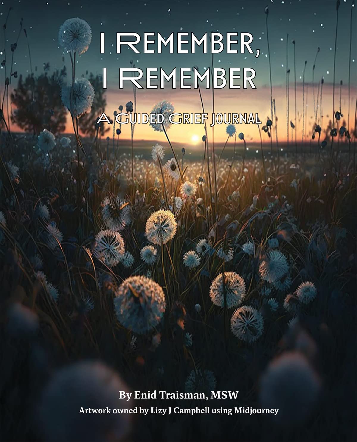 I remember, I remember: A Guided Grief Journal,Used