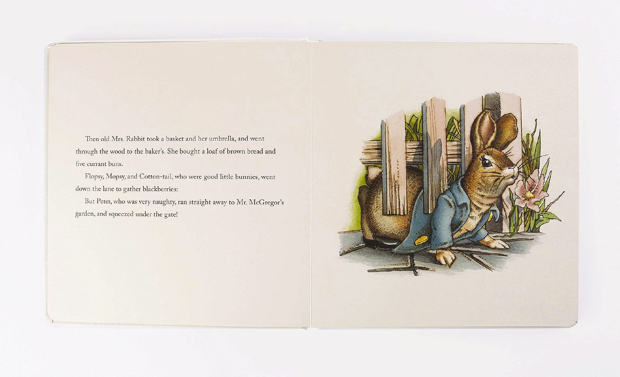 The Classic Tale of Peter Rabbit Oversized Padded Board Book: The Classic Edition (13) (Oversized Padded Board Books),Used