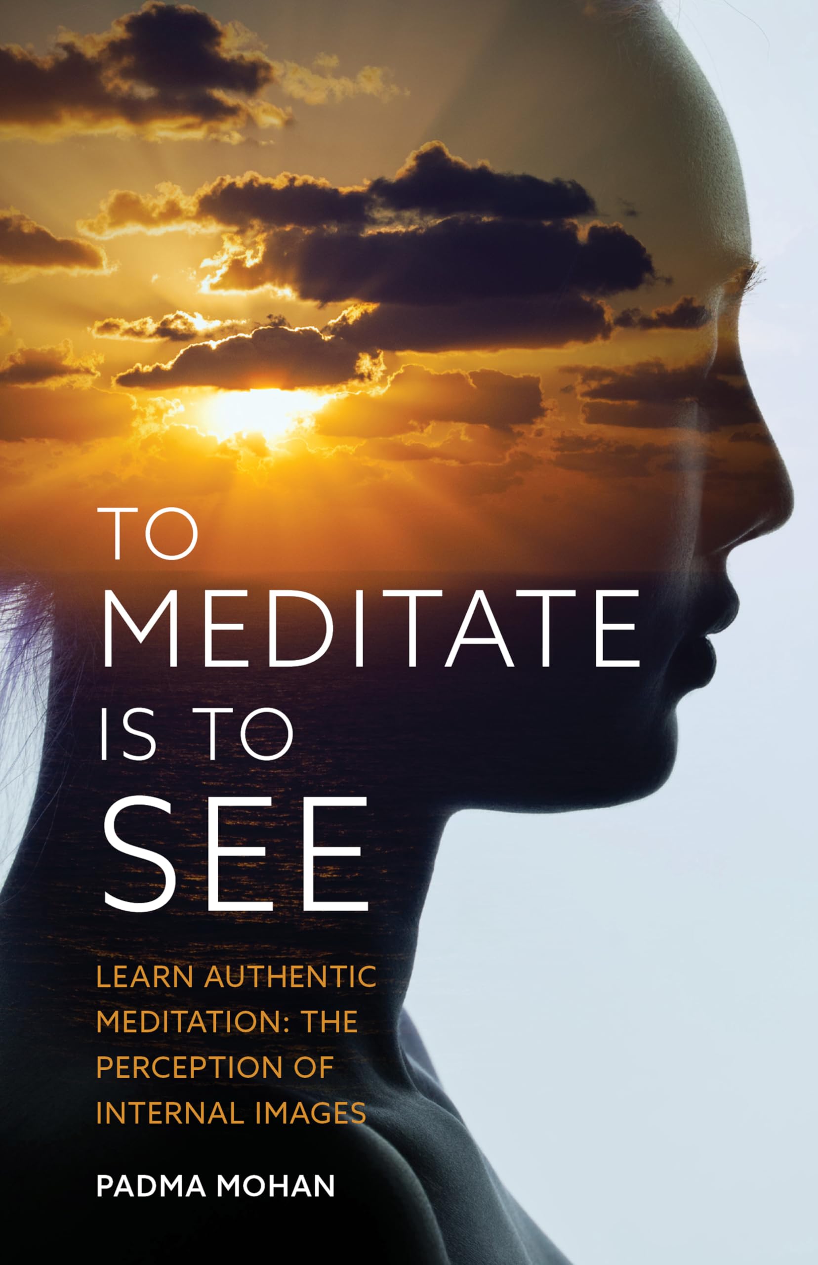 To Meditate Is To See: Learn Authentic Meditation: The Perception Of Internal Images