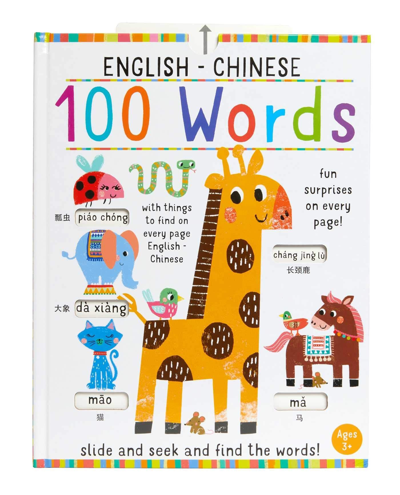Slide and Seek: 100 Words EnglishChinese (iSeek),Used