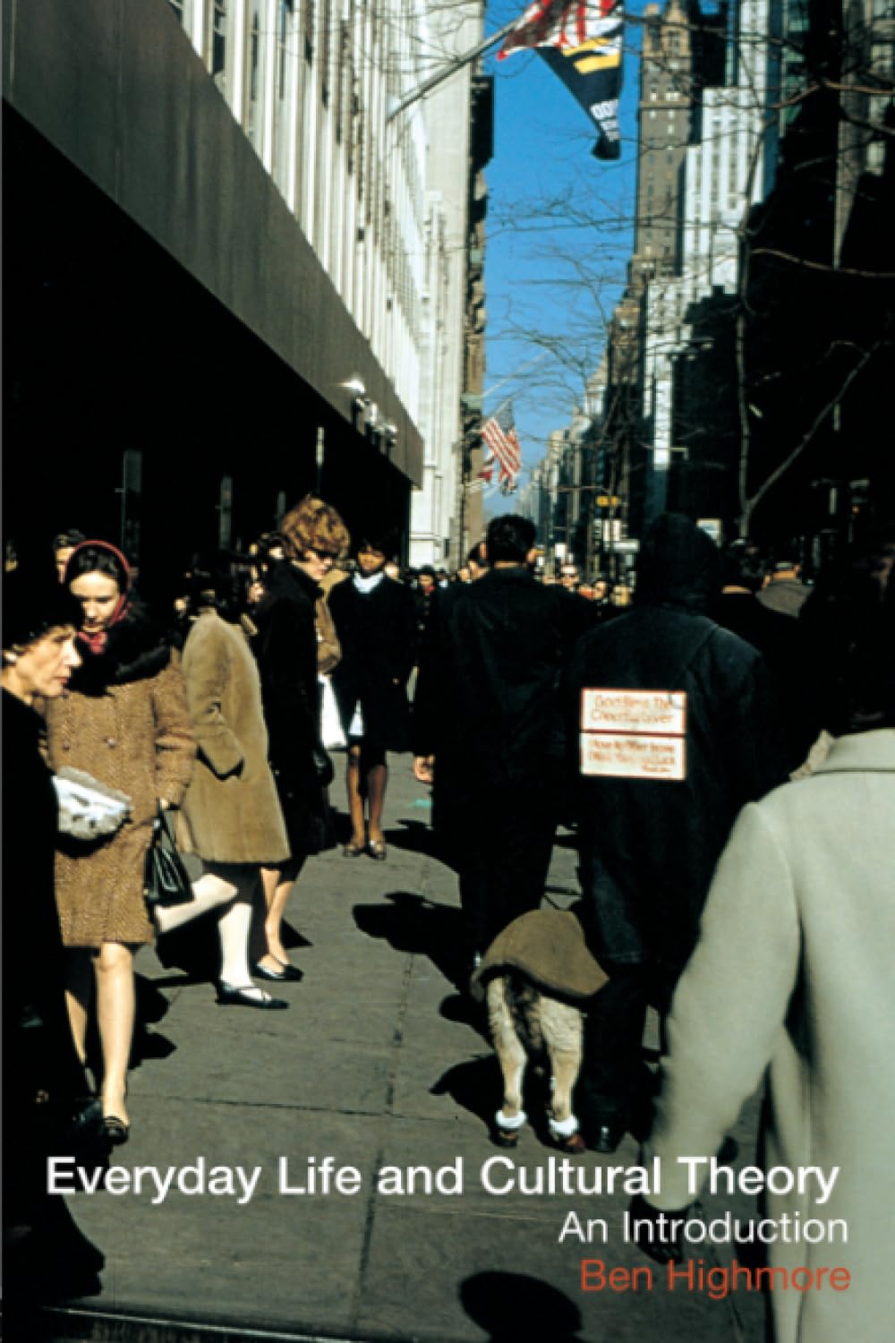 Everyday Life and Cultural Theory,Used