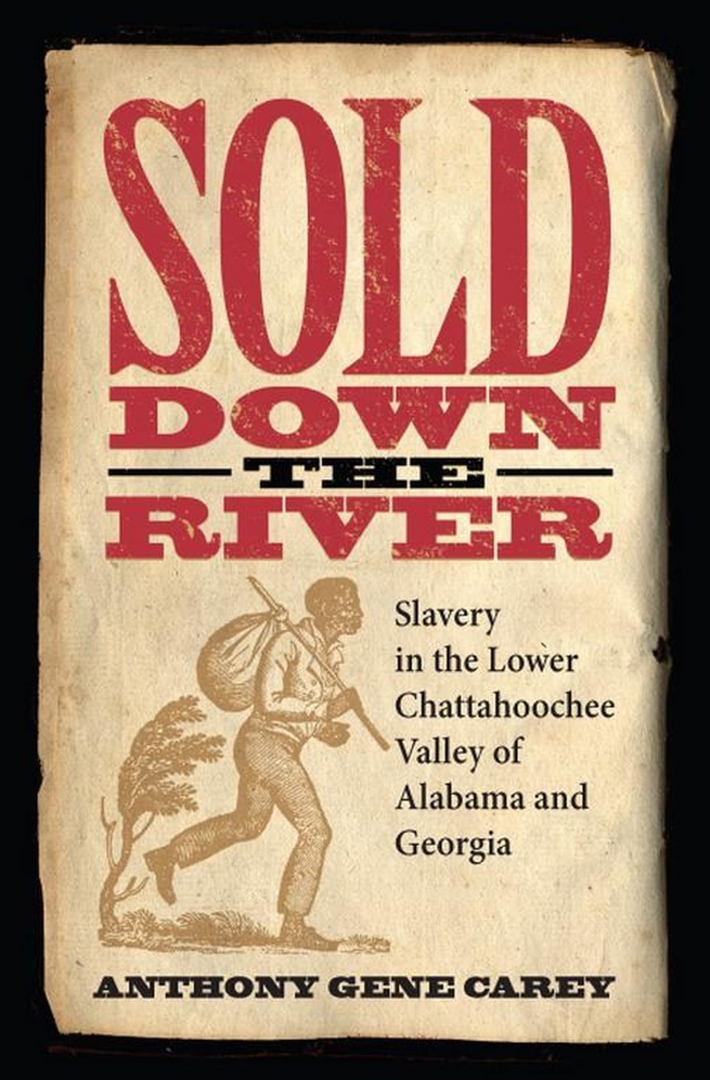 Sold Down the River: Slavery in the Lower Chattahoochee Valley of Alabama and Georgia,New