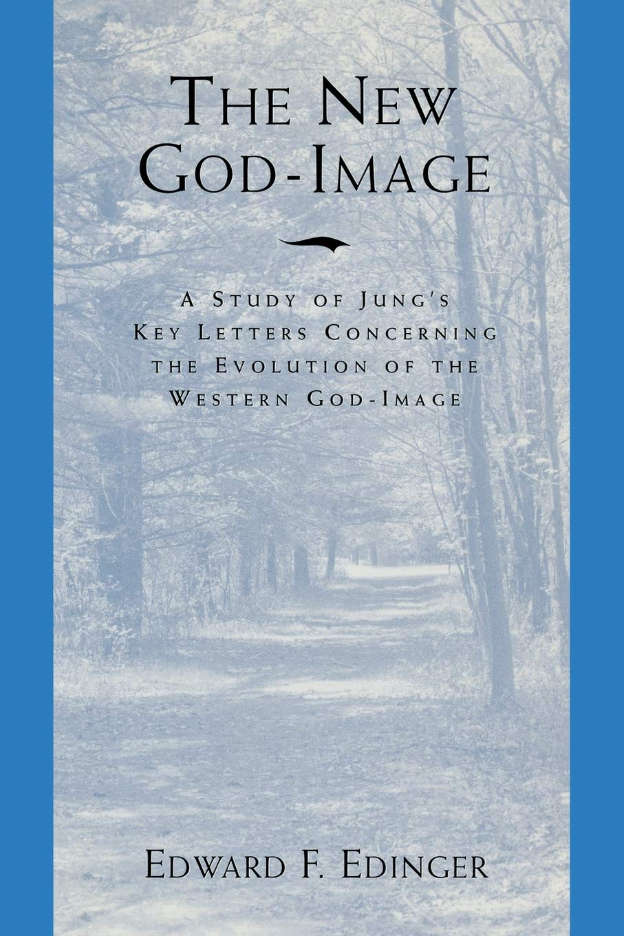 The New Godimage: A Study Of Jungs Key Letters Concerning The Evolution Of The Western Godimage