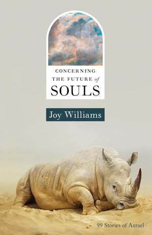 Concerning the Future of Souls,New