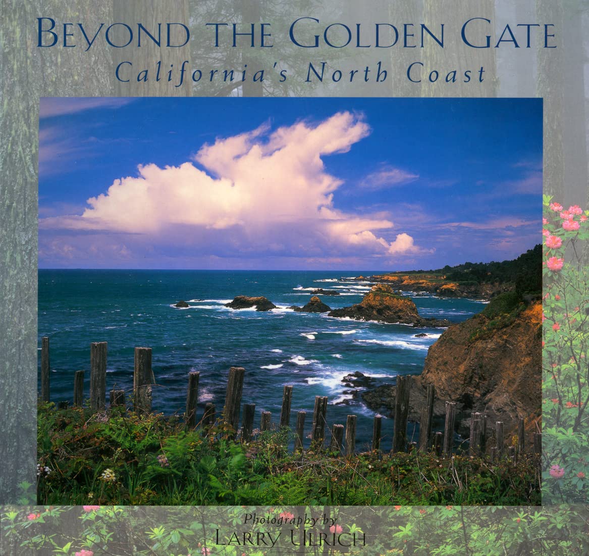 Beyond the Golden Gate: California's North Coast (Companion Press Series),Used