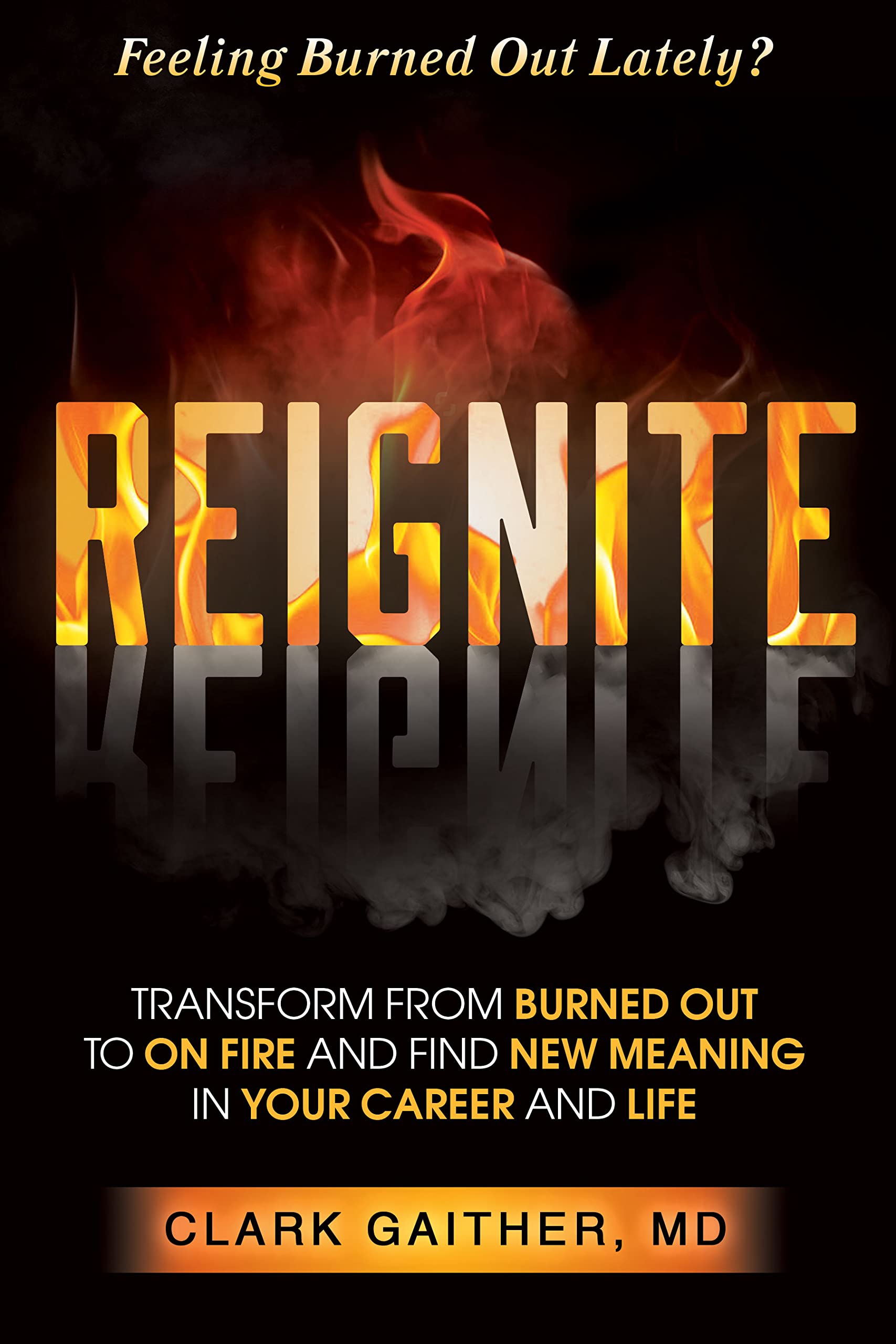 Reignite: Transform From Burned Out To On Fire And Find New Meaning In Your Career And Life,Used