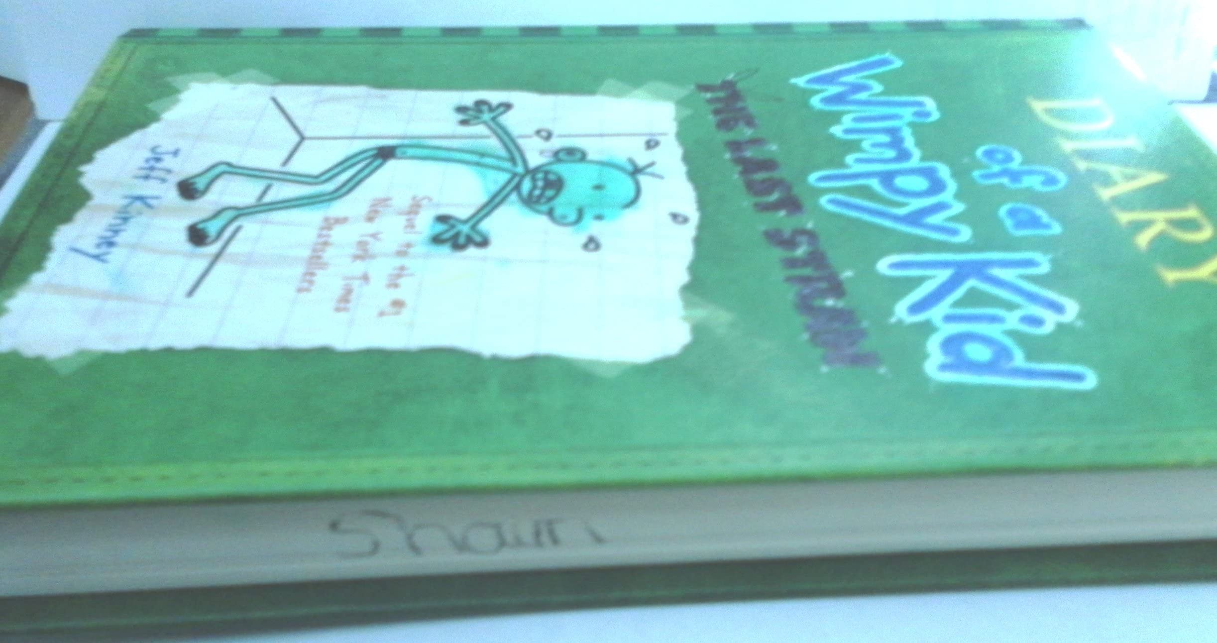 Diary Of A Wimpy Kid: The Last Straw (Book 3)