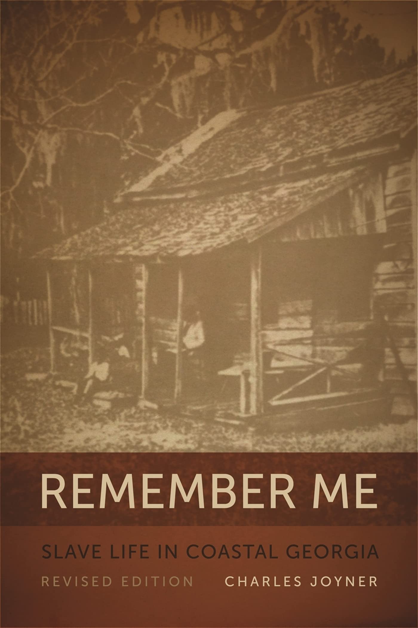 Remember Me: Slave Life In Coastal Georgia (Georgia Humanities Council Publication Ser.),New