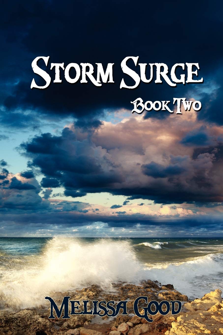 Storm Surge  Book Two,Used
