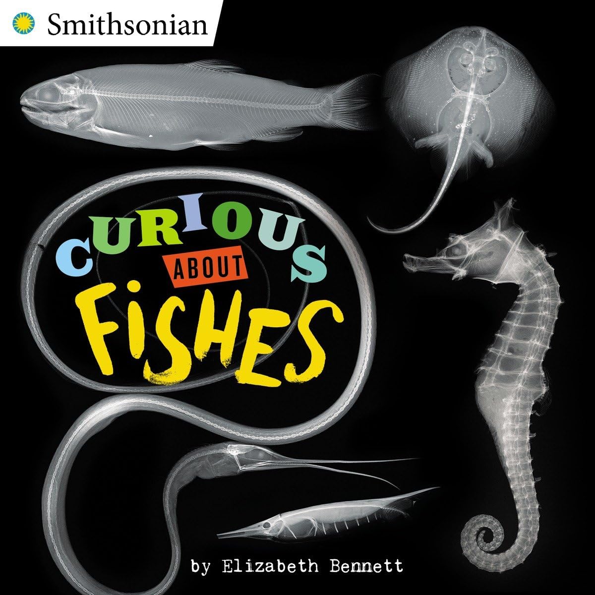Curious About Fishes (Smithsonian),Used